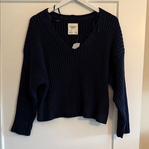 Abercrombie & Fitch Navy Ribbed V-Neck Sweater